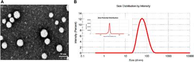 Cyclic RGD functionalized PLGA nanoparticles loaded with noncovalent complex of indocyanine green with urokinase for synergistic thrombolysis